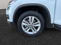 Skoda Kodiaq Executive 2,0 TDI 110 kW 7-Gang automat. Bianco - thumbnail 11