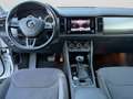 Skoda Kodiaq Executive 2,0 TDI 110 kW 7-Gang automat. Bianco - thumbnail 7