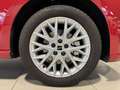 SEAT Ibiza 1.0 TSI S&S Special Edition 115 Rojo - thumbnail 8