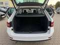 Skoda Superb Combi 2.0 TDI DSG 8x bereift/1.Hand/NAVI/AHK/SHZ/P Weiß - thumbnail 13