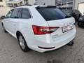 Skoda Superb Combi 2.0 TDI DSG 8x bereift/1.Hand/NAVI/AHK/SHZ/P Weiß - thumbnail 9