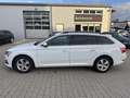 Skoda Superb Combi 2.0 TDI DSG 8x bereift/1.Hand/NAVI/AHK/SHZ/P Weiß - thumbnail 8