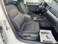 Skoda Superb Combi 2.0 TDI DSG 8x bereift/1.Hand/NAVI/AHK/SHZ/P Weiß - thumbnail 14