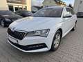 Skoda Superb Combi 2.0 TDI DSG 8x bereift/1.Hand/NAVI/AHK/SHZ/P Weiß - thumbnail 1