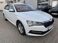 Skoda Superb Combi 2.0 TDI DSG 8x bereift/1.Hand/NAVI/AHK/SHZ/P Weiß - thumbnail 3