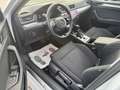 Skoda Superb Combi 2.0 TDI DSG 8x bereift/1.Hand/NAVI/AHK/SHZ/P Weiß - thumbnail 5