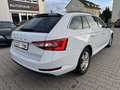 Skoda Superb Combi 2.0 TDI DSG 8x bereift/1.Hand/NAVI/AHK/SHZ/P Weiß - thumbnail 11