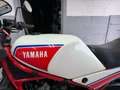 Yamaha RD 350 Yamaha rd350lc Red - thumbnail 10