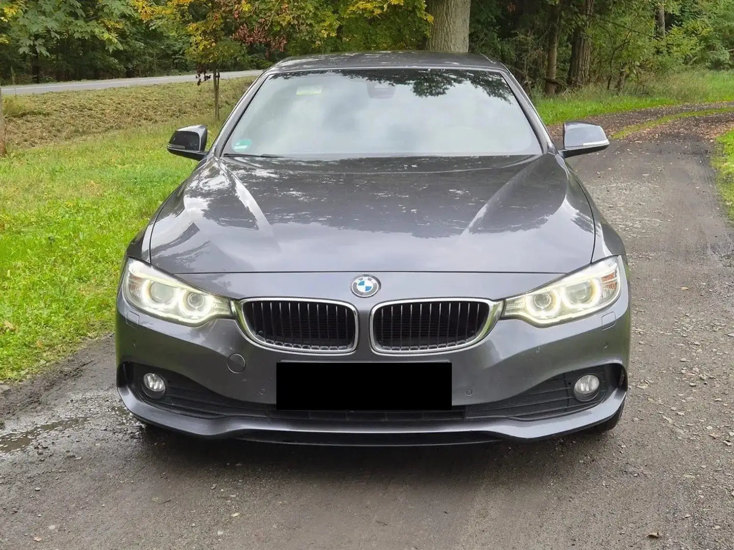 BMW 420 420d Cabrio Sport-Aut. Grau - 1
