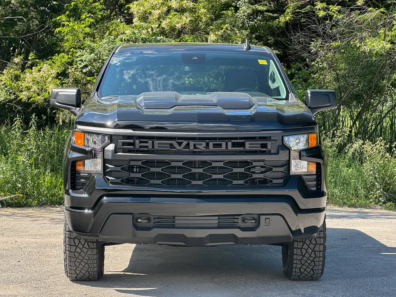 Chevrolet Silverado 1500 photo Chevrolet Silverado 1500