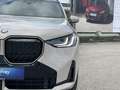 BMW X3 X3 20d xDrive Grau - thumbnail 15