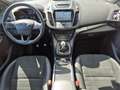 Ford Kuga ST-Line 1.5 EcoBoost - PANO - RFK - SHZ - Grau - thumbnail 13