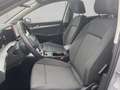 Volkswagen Golf VIII Life 1.5 TSI AHK/Kamera/Navi Grau - thumbnail 13