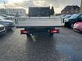 Ford Transit Pritsche 350 L5 Einzelkabine Blanc - thumbnail 12