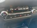 Mazda CX-30 Selection 2WD,Unfallfrei,1.Hand Blau - thumbnail 13