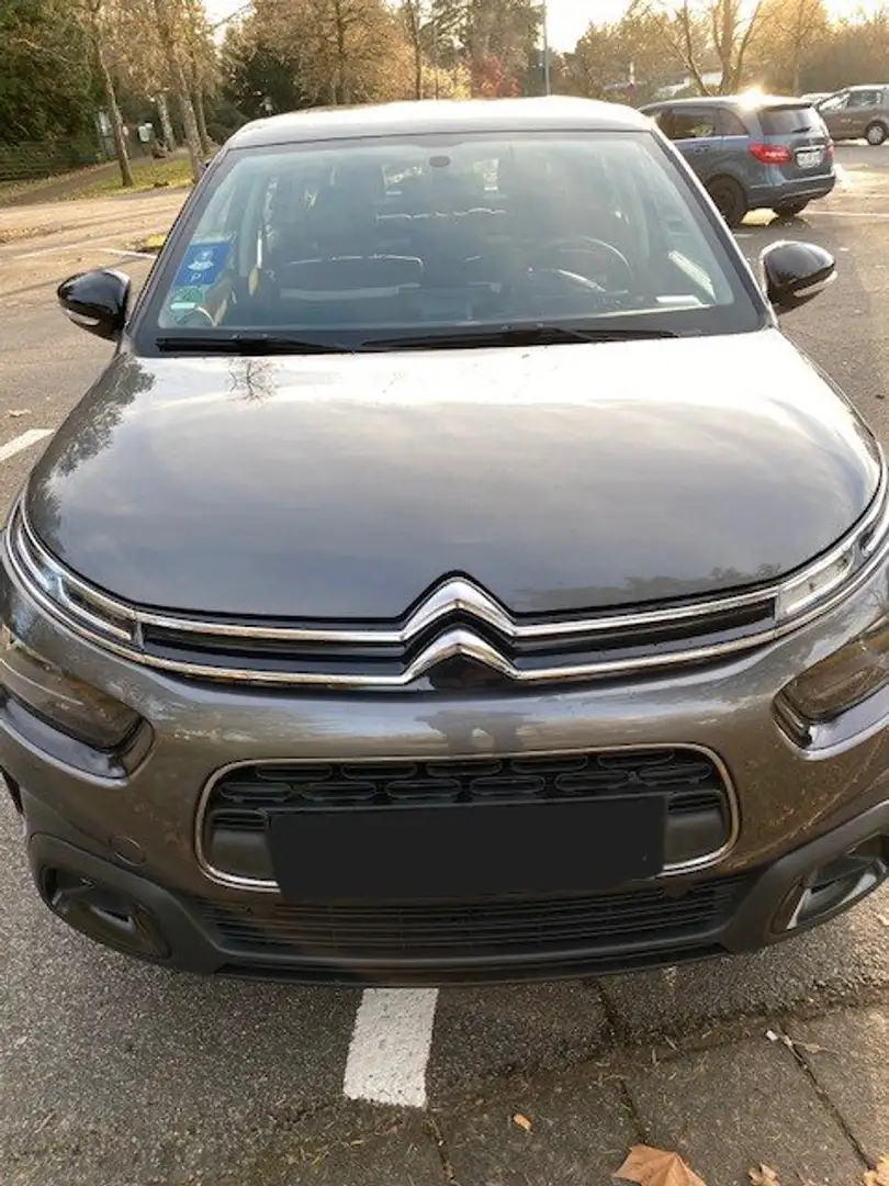 Citroen C4 Cactus PureTech 110 Stop Grau - 2