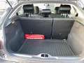 Citroen C4 Cactus PureTech 110 Stop Grau - thumbnail 10