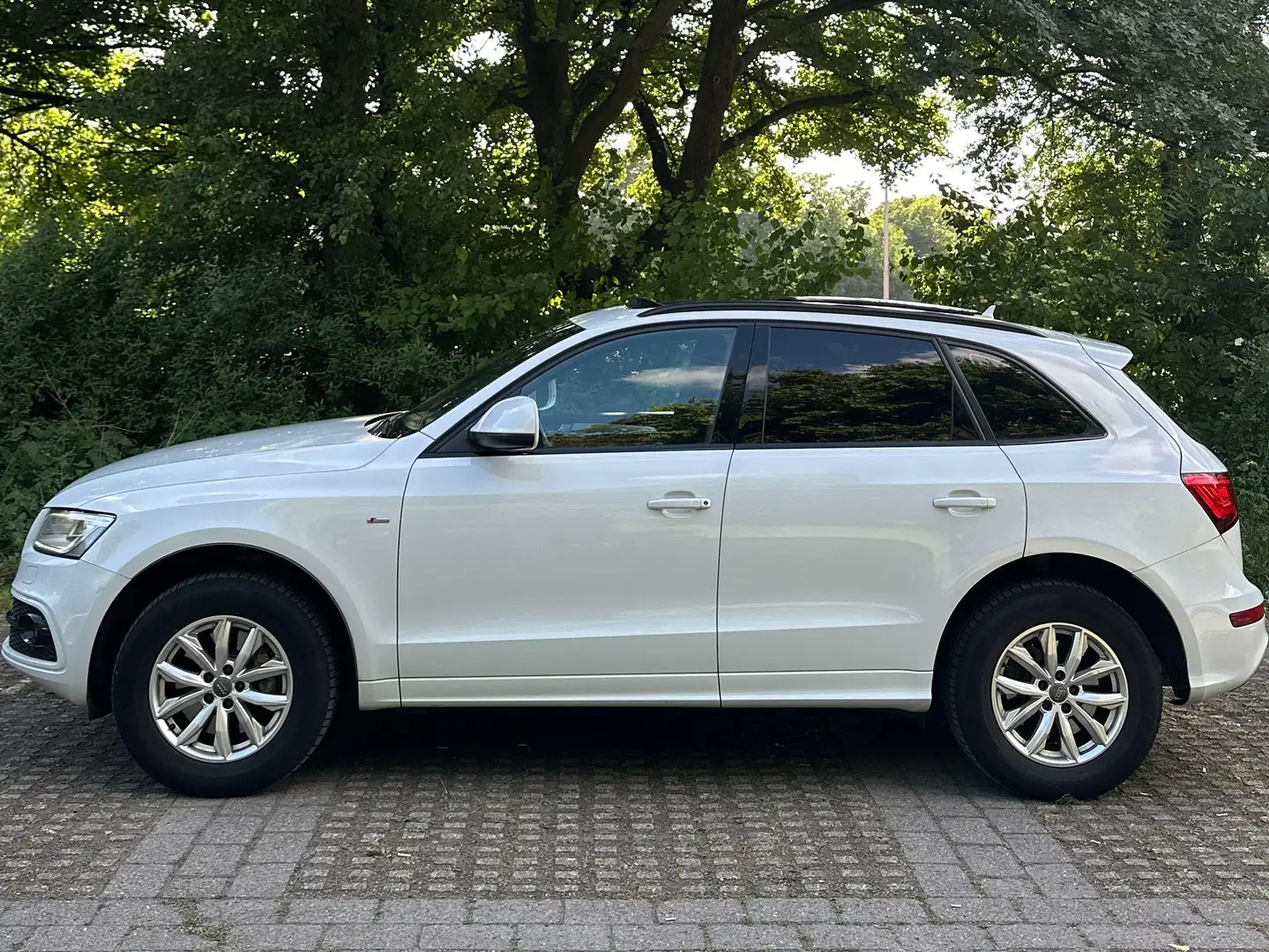 Audi Q5 Q5 Diesel 3.0 TDI quattro S tronic Weiß - 1