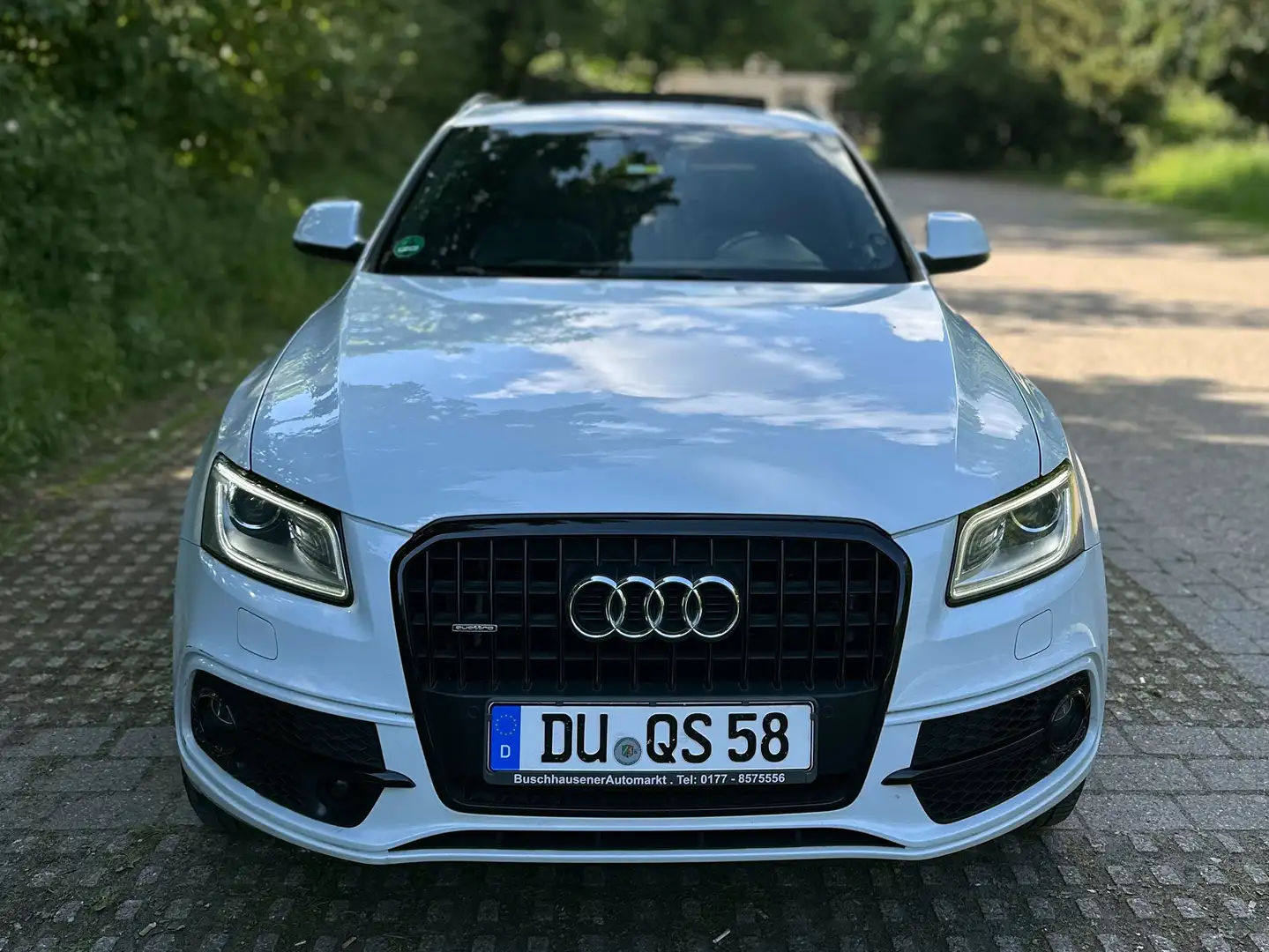 Audi Q5 Q5 Diesel 3.0 TDI quattro S tronic Weiß - 2