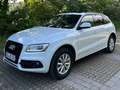 Audi Q5 Q5 Diesel 3.0 TDI quattro S tronic Weiß - thumbnail 3