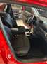 Jeep Renegade Renegade 2019 1.3 t4 Limited 2wd 150cv ddct Rosso - thumbnail 13