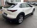 Mazda CX-30 CX-30 2.0 M-HYBRID / Automaat / 34000km / 12m wb Wit - thumbnail 6