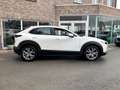 Mazda CX-30 CX-30 2.0 M-HYBRID / Automaat / 34000km / 12m wb Wit - thumbnail 7