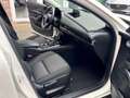 Mazda CX-30 CX-30 2.0 M-HYBRID / Automaat / 34000km / 12m wb Wit - thumbnail 8
