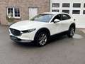 Mazda CX-30 CX-30 2.0 M-HYBRID / Automaat / 34000km / 12m wb Wit - thumbnail 3