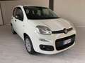 Fiat Panda Panda 1.2 Pop Weiß - thumbnail 1