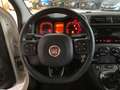Fiat Panda Panda 1.2 Pop Weiß - thumbnail 13