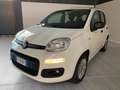 Fiat Panda Panda 1.2 Pop Weiß - thumbnail 6