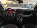 Fiat Panda Panda 1.2 Pop Weiß - thumbnail 7