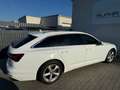 Audi A6 40 2.0 TDI Avant quattro sport Weiß - thumbnail 18