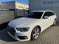 Audi A6 40 2.0 TDI Avant quattro sport Weiß - thumbnail 8