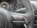 Mazda CX-30 /G140/AT/Homura Grau - thumbnail 15