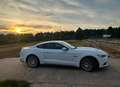 Ford Mustang Mustang 5,0 Ti-VCT V8 GT Aut. GT Weiß - thumbnail 5
