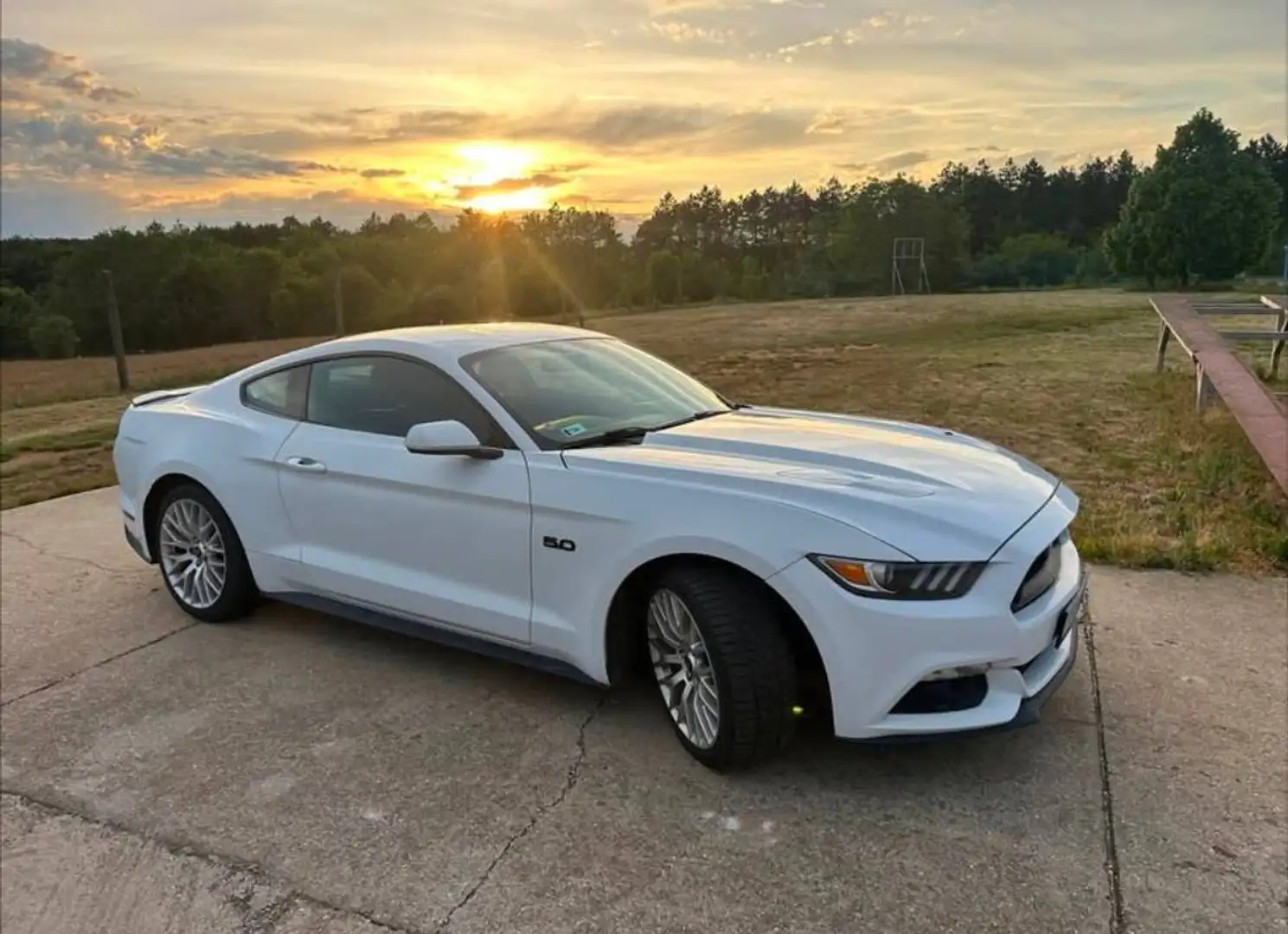 Ford Mustang Mustang 5,0 Ti-VCT V8 GT Aut. GT Weiß - 2