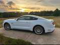Ford Mustang Mustang 5,0 Ti-VCT V8 GT Aut. GT Weiß - thumbnail 3