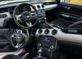 Ford Mustang Mustang 5,0 Ti-VCT V8 GT Aut. GT Weiß - thumbnail 7
