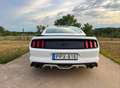 Ford Mustang Mustang 5,0 Ti-VCT V8 GT Aut. GT Weiß - thumbnail 6