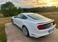 Ford Mustang Mustang 5,0 Ti-VCT V8 GT Aut. GT Weiß - thumbnail 4