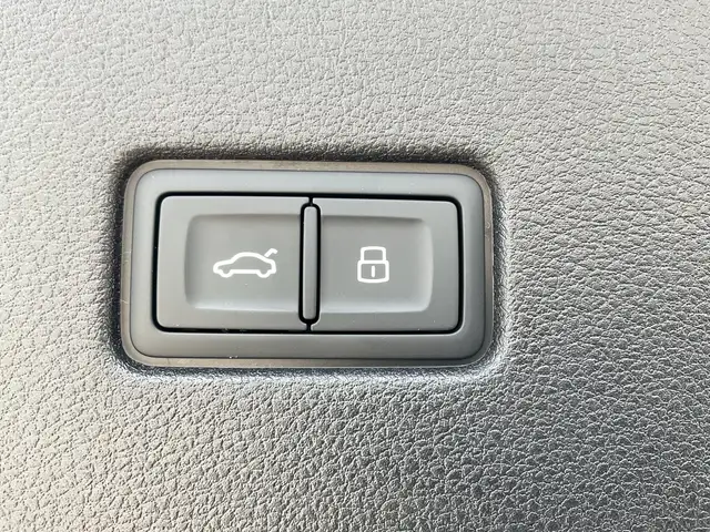 Audi Q8 view 15