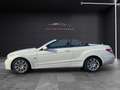 Mercedes-Benz E 220 E220 CDI Cabrio*Avantgarde*NAVI*ACC*NAPPA*LEDER Blanc - thumbnail 7