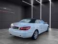 Mercedes-Benz E 220 E220 CDI Cabrio*Avantgarde*NAVI*ACC*NAPPA*LEDER Blanc - thumbnail 12