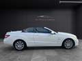 Mercedes-Benz E 220 E220 CDI Cabrio*Avantgarde*NAVI*ACC*NAPPA*LEDER Blanc - thumbnail 9