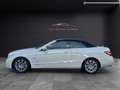 Mercedes-Benz E 220 E220 CDI Cabrio*Avantgarde*NAVI*ACC*NAPPA*LEDER Blanc - thumbnail 6