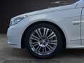 Mercedes-Benz E 220 E220 CDI Cabrio*Avantgarde*NAVI*ACC*NAPPA*LEDER Blanc - thumbnail 28