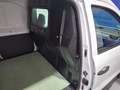Renault Express Advance 1.5 Blue dCi 55 kW (75 cv) Blanc - thumbnail 37