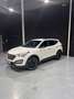 Hyundai SANTA FE 2.2 CRDi Klass 4x2 7S Blanc - thumbnail 6